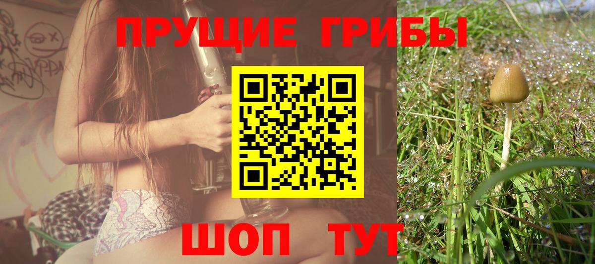Галлюциногенные грибы мухоморы  Галлюциногенные грибы прущие грибы  Лесной  Вход с VPN 