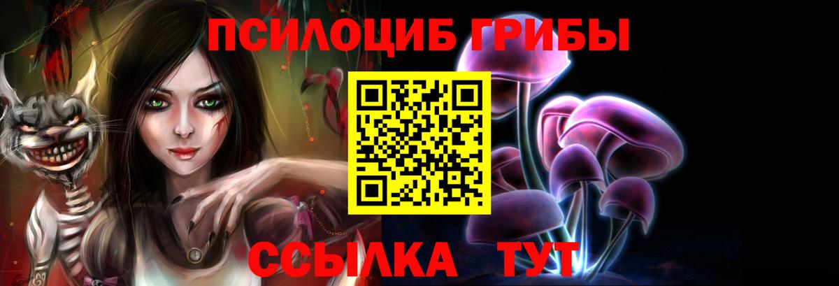 Галлюциногенные грибы Cubensis Лесной